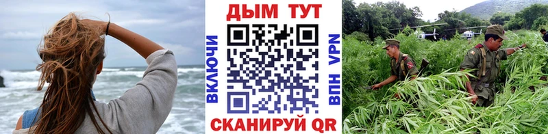 Купить наркотик аптеки Новошахтинск COCAIN  Галлюциногенные грибы  Амфетамин  Каннабис  МДМА  МЕФ 