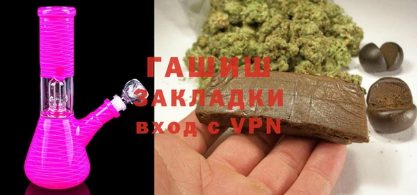 гашик Алексин