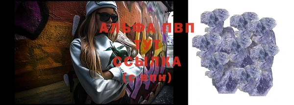 гашик Алексин