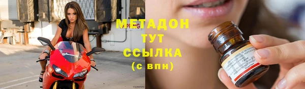 гашик Алексин