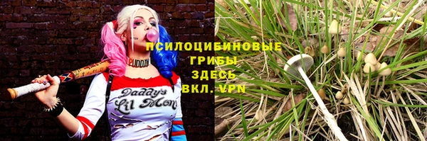 гидропоника Алексеевка