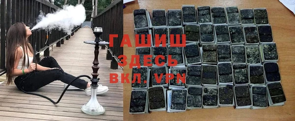 гашик Алексин