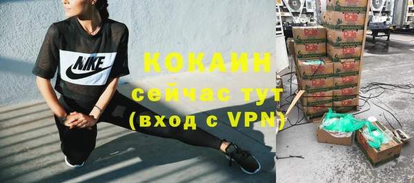 гашик Алексин