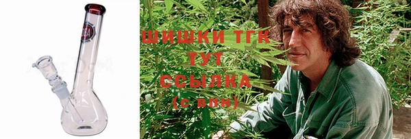 гашик Алексин