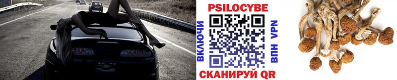 сколько стоит Новошахтинск Галлюциногенные грибы Cubensis
